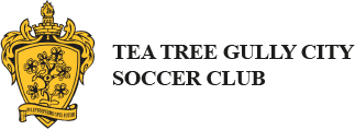 Tea Tree Gully City Soccer Club